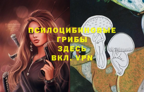 бошки Волосово