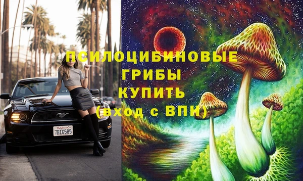 прущие крисы Володарск
