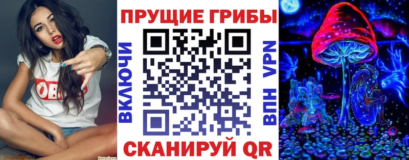 Купить  Саки  Псилоцибиновые грибы GOLDEN TEACHER 